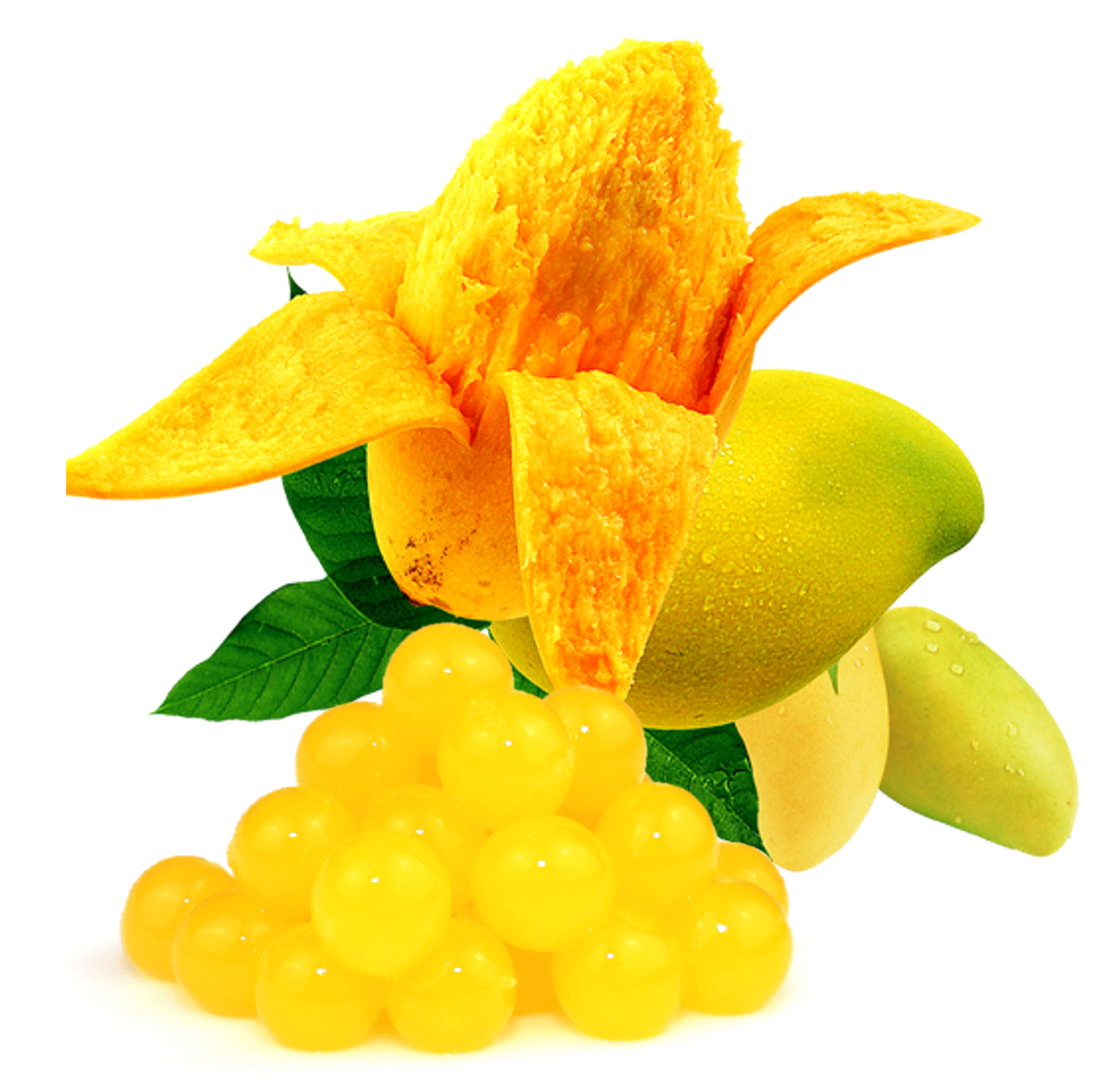 Mangue